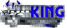 VIKING PERFORMANCE Logo
