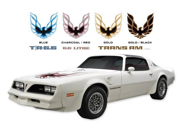 Stripe Kit, Trans Am, Gold/Clear/Black/Orange  looping style Trans Am firebird hood decal, Block-Style lettering decals, 7-pc kit