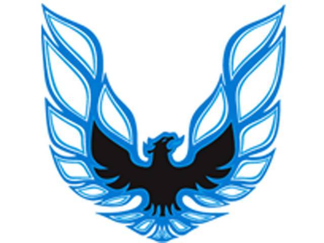 HOOD BIRD AND NAME KIT, Trans Am, Black / Light Blue / Dark Blue