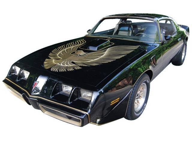 HOOD BIRD AND MOLDED STRIPE KIT, Trans Am, Dark Gold, Special Edition
