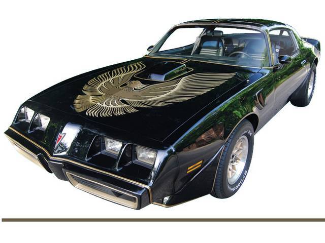 HOOD BIRD AND MOLDED STRIPE KIT, Trans Am, Brown (For Gold Cars), Special Edition