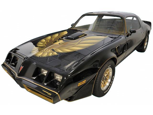 HOOD BIRD AND STRIPE KIT, Trans Am, Gold Special Edition, 1st Version (built before 9/15/80)