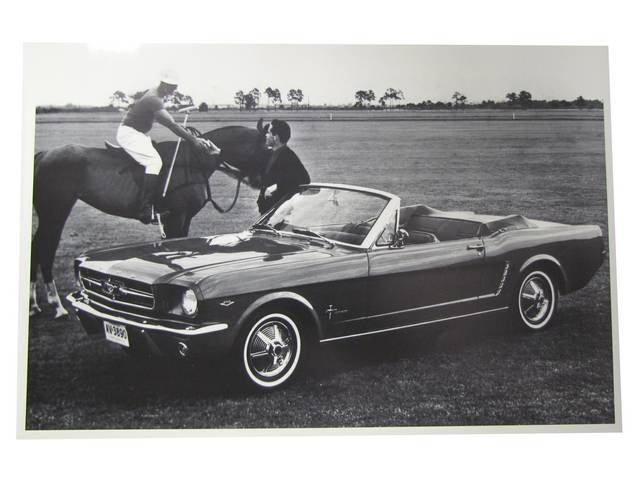 CLASSIC PHOTO, 1965 CONVERTIBLE WITH HORSE AND RIDER