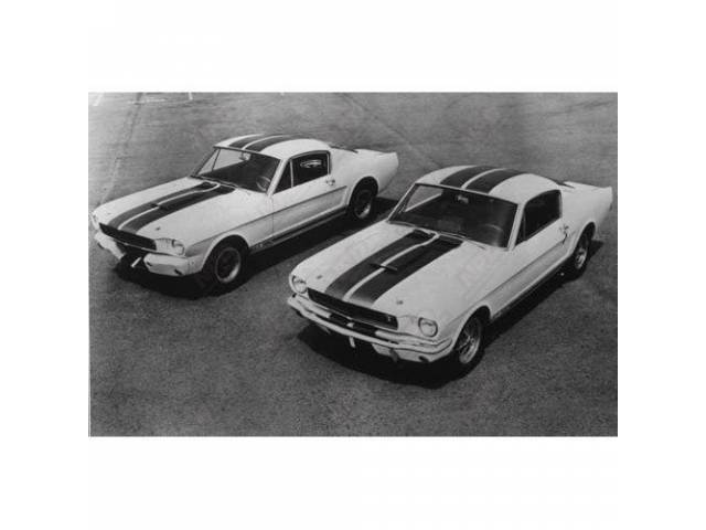 CLASSIC PHOTO, 1965 GT-350 STREET AND *R